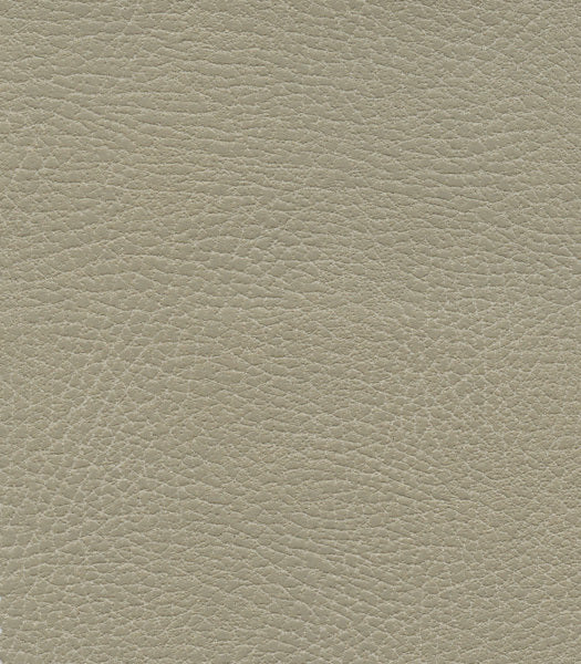 Close-up of the textured beige leather surface on the Golden Tech PR527 Cloud Recliner With Lift Assist & Twilight - SM/MD, highlighting its fine natural grain patterns and subtle creases.