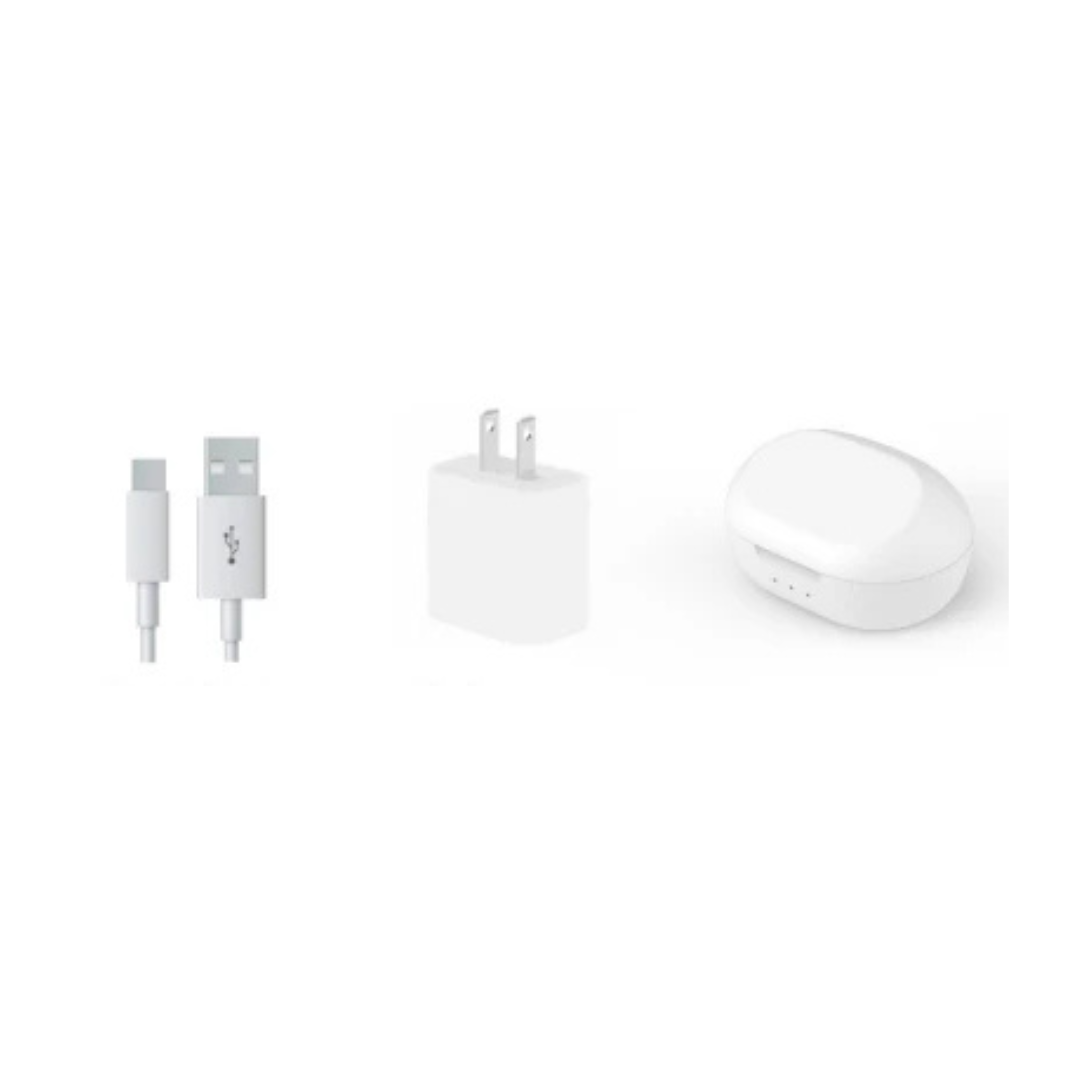 The Audien Hearing Ion Charger + Case, along with a white USB charging cable and a white wall charger adapter, are displayed on a plain white background.