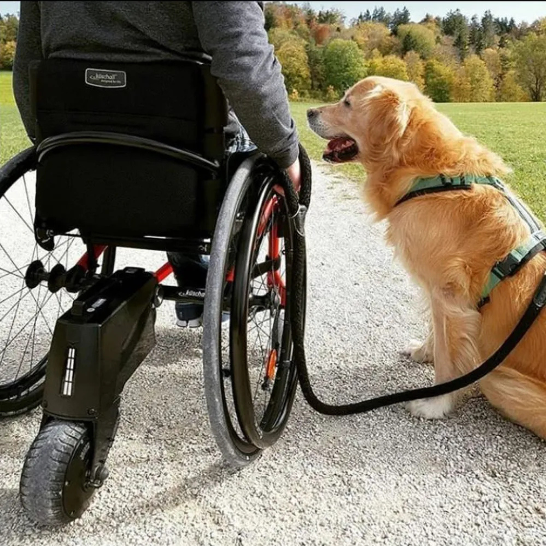 A person using an Alber SMOOV One Power Assist in their wheelchair holds the leash of a golden retriever sitting beside them on a gravel path, surrounded by green grass and colorful trees.