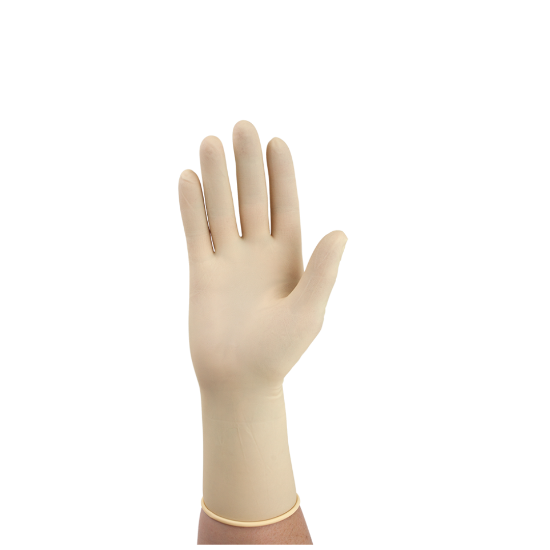 A hand wearing Dynarex Sterile Latex Surgical Gloves (powder-free) is held upright against a plain white background.