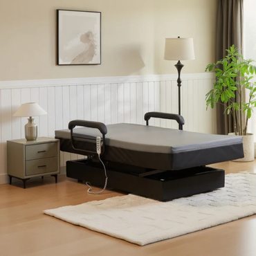 A modern bedroom features an EZLift Bed Hi-Lo Pro™ Electric Bed with Stand Assist and remote, set on a white rug. A nightstand with a lamp, floor lamp, artwork, and a plant complete the stylish decor.