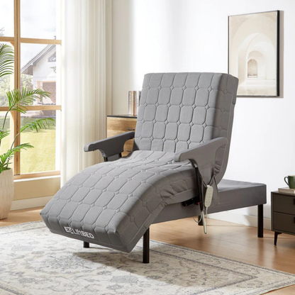 A modern room featuring the EZLift Bed™ - Deluxe Sleep To Stand Electric Bed in gray upholstery on a patterned rug, beside a window with plants, light walls, and framed artwork in the background.