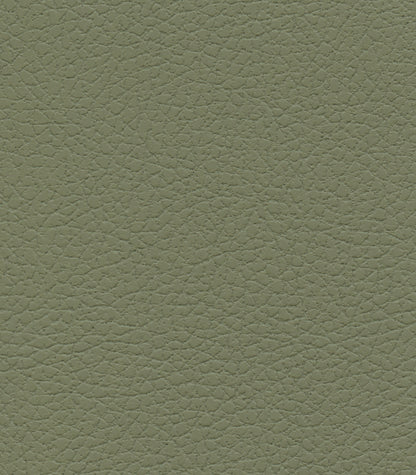 Close-up of light green textured leather on the Golden Tech PR527 Cloud Recliner With Lift Assist & Twilight - SM/MD, revealing its natural grain pattern with subtle shading and small, irregular shapes.
