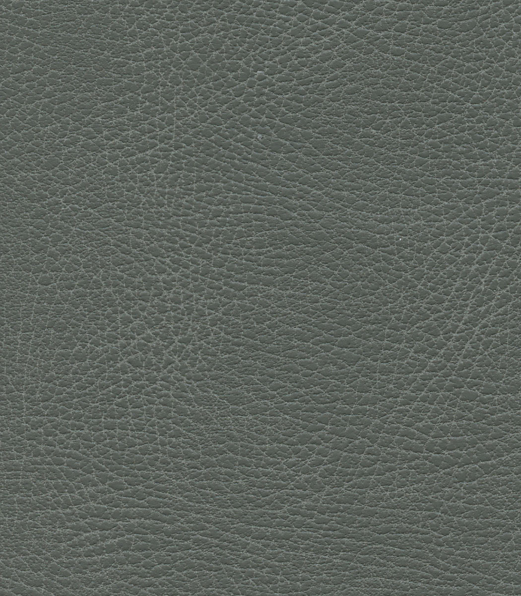 Close-up view of a textured dark gray leather surface on the Golden Tech PR527 Cloud Recliner With Lift Assist & Twilight - SM/MD, showing fine natural grain patterns and subtle creases throughout.