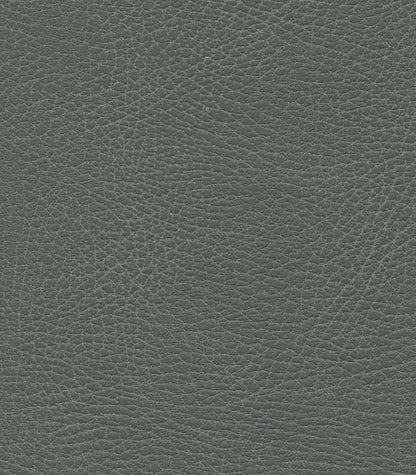 Close-up view of a textured dark gray leather surface on the Golden Tech PR527 Cloud Recliner With Lift Assist & Twilight - SM/MD, showing fine natural grain patterns and subtle creases throughout.