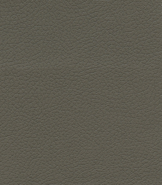 Close-up of the textured, dark brown or charcoal gray leather surface on the Golden Tech PR527 Cloud Recliner With Lift Assist & Twilight - SM/MD, highlighting its natural, pebbled grain pattern.