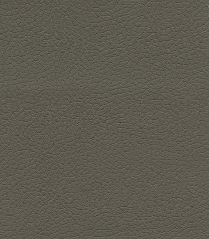 Close-up of the textured, dark brown or charcoal gray leather surface on the Golden Tech PR527 Cloud Recliner With Lift Assist & Twilight - SM/MD, highlighting its natural, pebbled grain pattern.