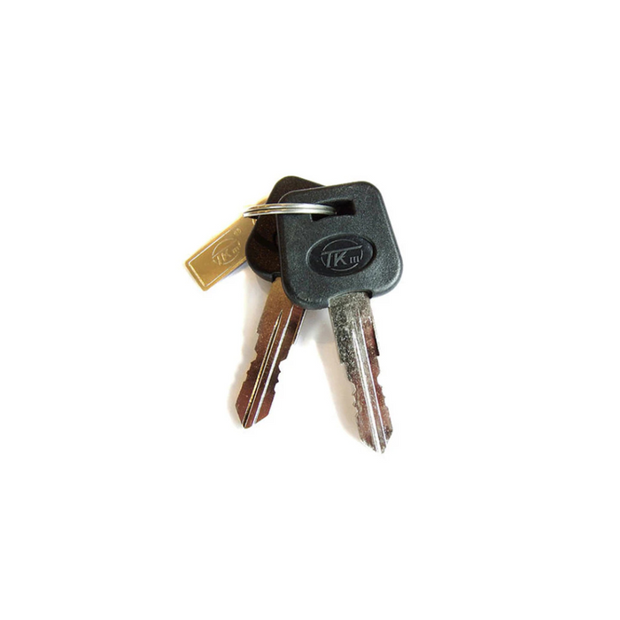 A set of two metal keys with black plastic handles and a small gold tag on a silver keyring, echoing the sleek design of Journey Zinger Powerchair Parts & Accessories, rests against a white background.