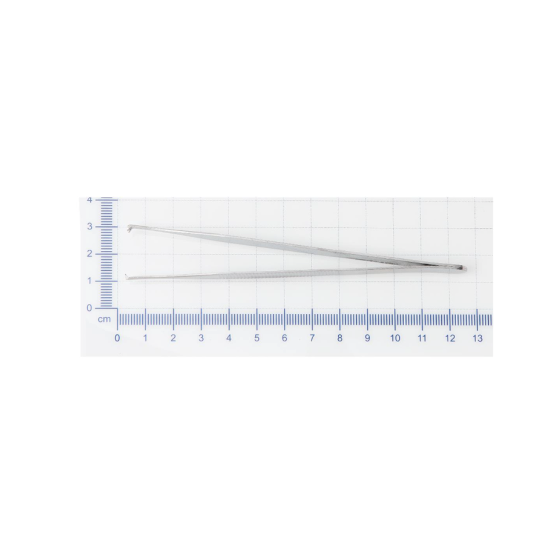A pair of Medline Floor Grade Adson Tissue Forceps, measuring about 12 cm long, is shown on a white background with a blue centimeter ruler grid.
