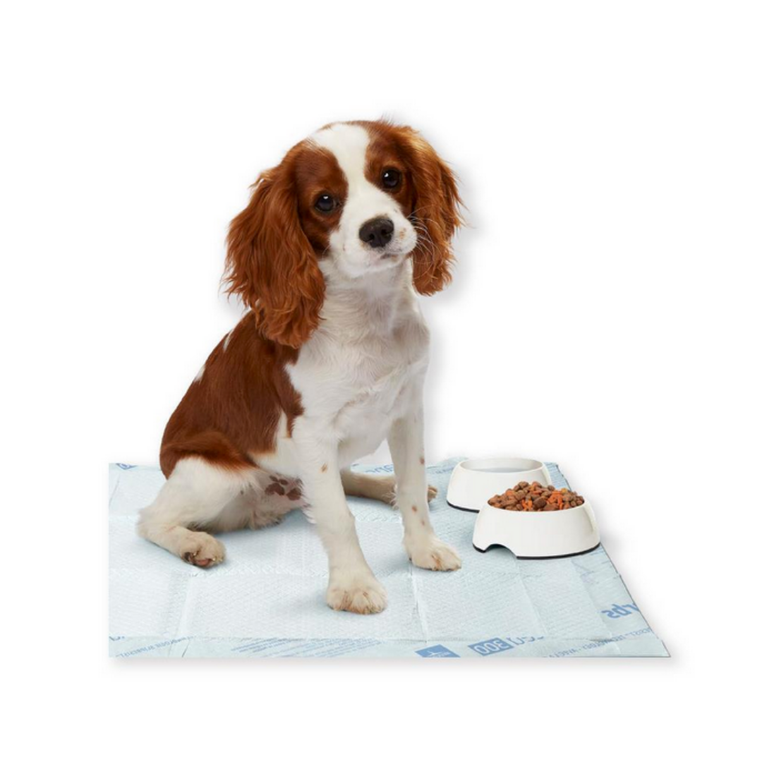 A small brown and white dog sits on a Medline Ultrasorbs Advanced Premium Underpad (30 x 36) next to a white kibble bowl and matching water bowl, looking up with its head slightly tilted.