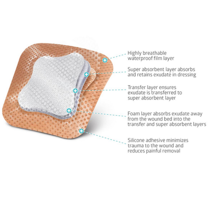 A labeled diagram of Medline Optifoam Gentle SA Silicone-Faced Foam Wound Dressings shows layers: waterproof film, superabsorbent core, transfer layer, foam layer, and silicone adhesive with each layer’s function described.