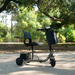 The Reyhee Triad Compact Folding Electric Mobility Scooter, lightweight and portable with three wheels, a black seat, and front basket, is parked on a sunlit path in the park. It complements the lush greenery and trees beautifully, creating a serene outdoor setting.