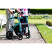 Two people, one with a teal Rollz Motion 2-in-1 Rollator Walker and Wheelchair, stroll on a sunny garden path beside green grass and blooming flowers.