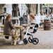 Two elderly women sit at a wooden picnic table outside a cafe, with one woman using a Rollz Motion 2-in-1 Rollator Walker and Wheelchair. They chat as a Please wait to be seated sign hangs behind them, while other patrons create a lively background buzz.