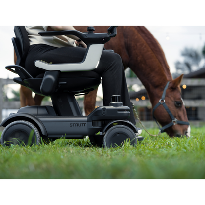 A person sits in a STRUTT Electric Vehicle ev1 | Drive Smarter with Guided Sensors on grass beside a brown horse grazing, with buildings and trees visible in the background; the vehicle is not a medical device, but offers advanced specifications for outdoor accessibility.