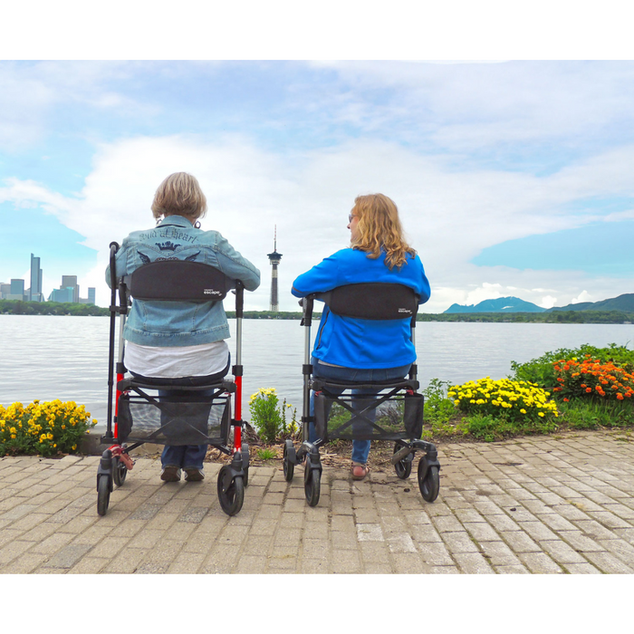 Two people sit on Triumph Mobility Escape Rollators, facing a scenic waterfront. The city skyline with its tall tower rises above distant hills under a partly cloudy sky. Bright flowers border the path where their 15-lb rollators rest, equipped with an easy one-handle folding system for quick stops.