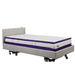 The iCare Medical IC100 Static Partner Non-Adjustable Bed is a grey hospital-grade bed with wheels, thick white-and-purple layered mattress, antibacterial vinyl finish, simple upholstered headboard, and optional iCare bed rails for extra safety.
