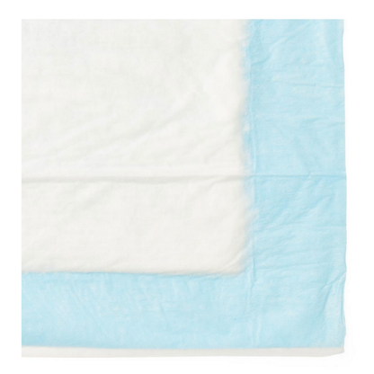 A close-up of a Medline Protection Plus Disposable Underpad with a light blue border on a white surface. Absorbent and ideal for medical or sanitary use. Specifications and videos are available for more details.