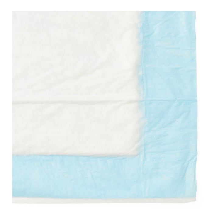 A close-up of a Medline Protection Plus Disposable Underpad with a light blue border on a white surface. Absorbent and ideal for medical or sanitary use. Specifications and videos are available for more details.