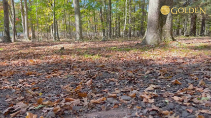 Golden Eagle HD GR596 All-Terrain Scooter with XL LCD Screen