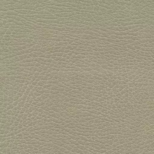 Close-up of a light green textured surface similar to leather, featuring fine wrinkles and an uneven pattern. The soft texture with natural grain is reminiscent of the luxurious upholstery on the Golden Tech PR510 MaxiComfort Cloud Recliner With Lift Assist - Extra Wide.